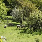 Antik-hof