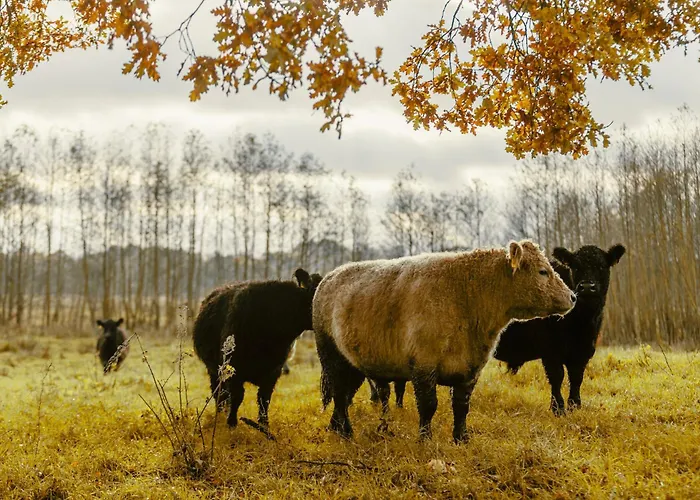 Affittacamere Antik-hof