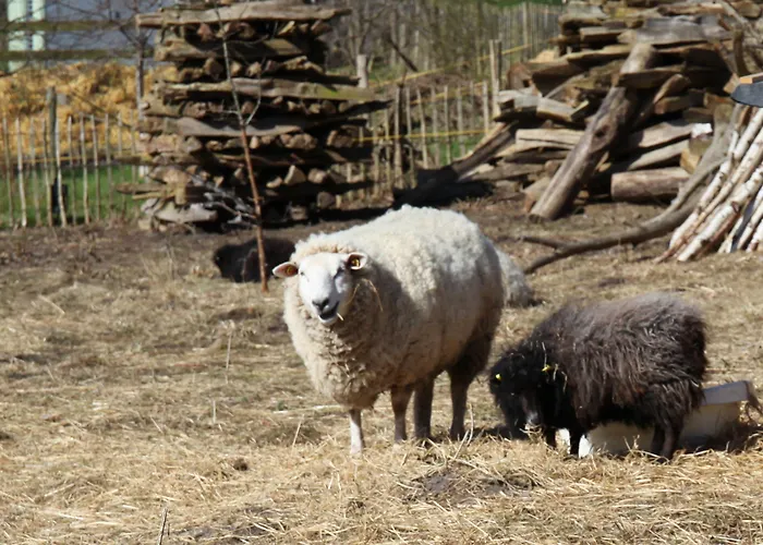 Penzion Antik-hof Bissee